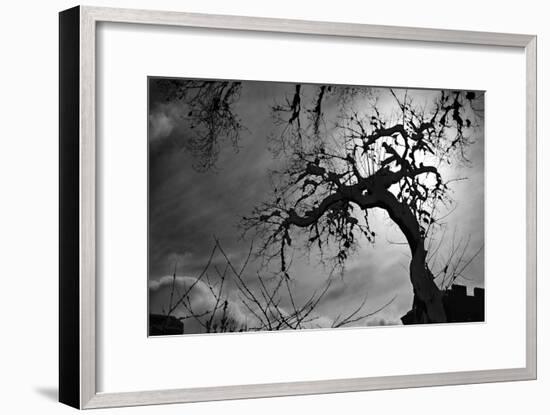 Spooky Tree-null-Framed Photo