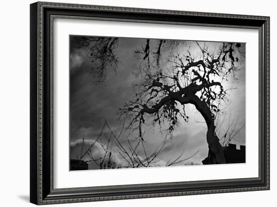 Spooky Tree-null-Framed Photo