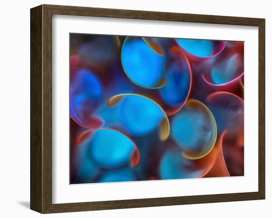 Spoon Straws-Ursula Abresch-Framed Photographic Print