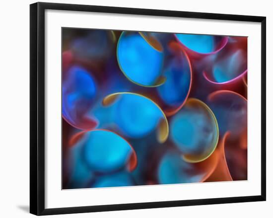 Spoon Straws-Ursula Abresch-Framed Photographic Print