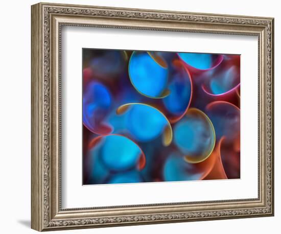 Spoon Straws-Ursula Abresch-Framed Photographic Print