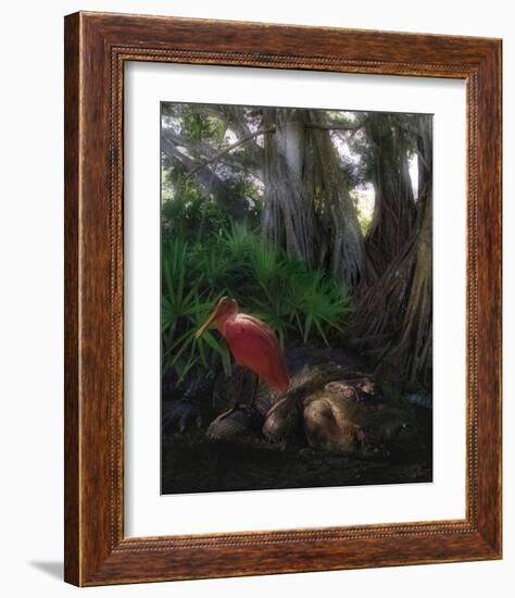 Spoonbill Plight-Steve Hunziker-Framed Art Print