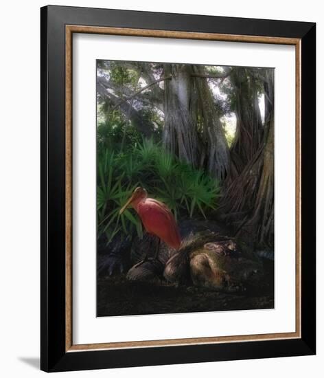 Spoonbill Plight-Steve Hunziker-Framed Art Print