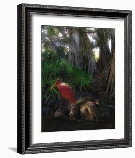 Spoonbill Plight-Steve Hunziker-Framed Art Print