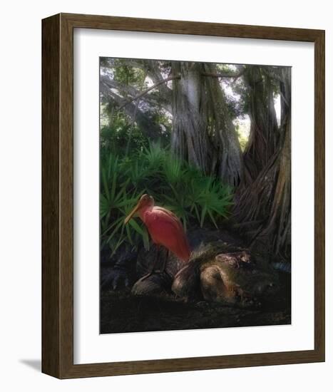 Spoonbill Plight-Steve Hunziker-Framed Art Print