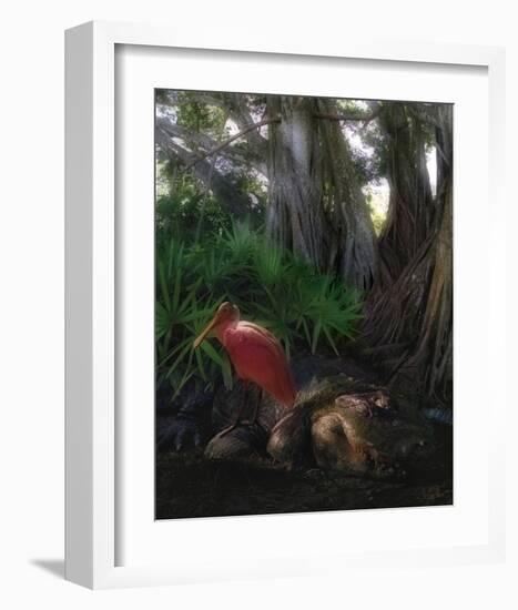 Spoonbill Plight-Steve Hunziker-Framed Art Print