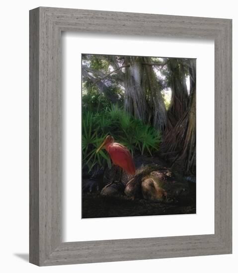 Spoonbill Plight-Steve Hunziker-Framed Art Print