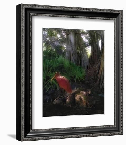 Spoonbill Plight-Steve Hunziker-Framed Art Print