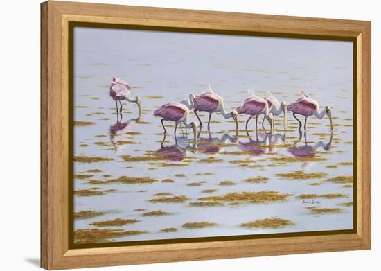 Spoonbills Feeding-Bruce Dumas-Framed Premier Image Canvas