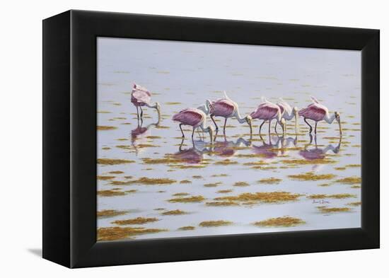 Spoonbills Feeding-Bruce Dumas-Framed Premier Image Canvas