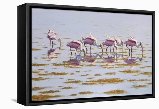 Spoonbills Feeding-Bruce Dumas-Framed Premier Image Canvas