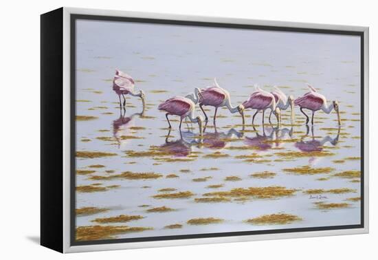 Spoonbills Feeding-Bruce Dumas-Framed Premier Image Canvas