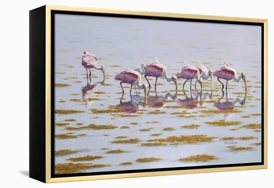 Spoonbills Feeding-Bruce Dumas-Framed Premier Image Canvas