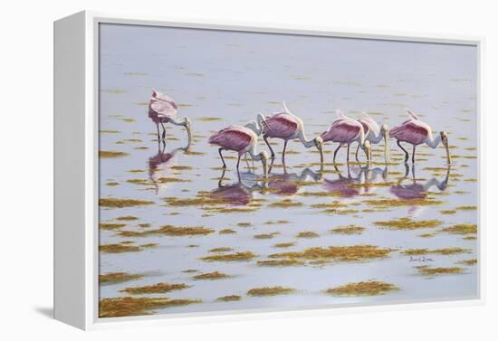 Spoonbills Feeding-Bruce Dumas-Framed Premier Image Canvas