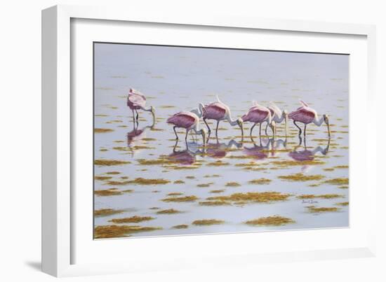 Spoonbills Feeding-Bruce Dumas-Framed Giclee Print