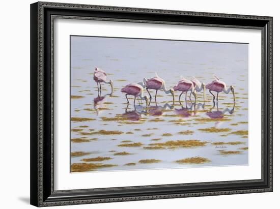 Spoonbills Feeding-Bruce Dumas-Framed Giclee Print