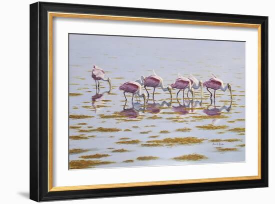 Spoonbills Feeding-Bruce Dumas-Framed Giclee Print