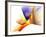 Spoonful of Color-Alan Hausenflock-Framed Photographic Print