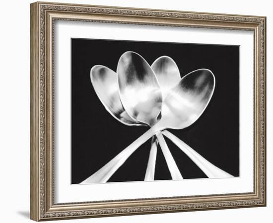 Spoons-Mike Feeley-Framed Art Print