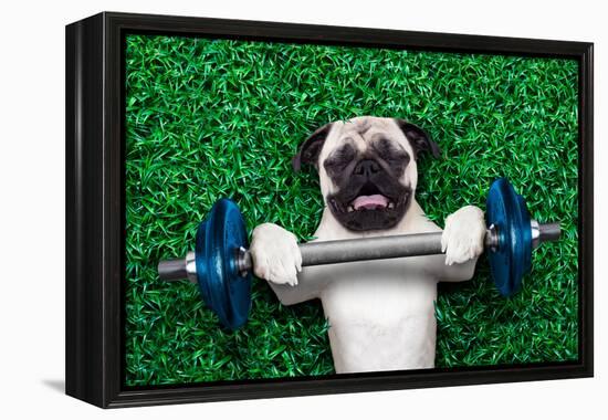 Sport Dog-Javier Brosch-Framed Premier Image Canvas