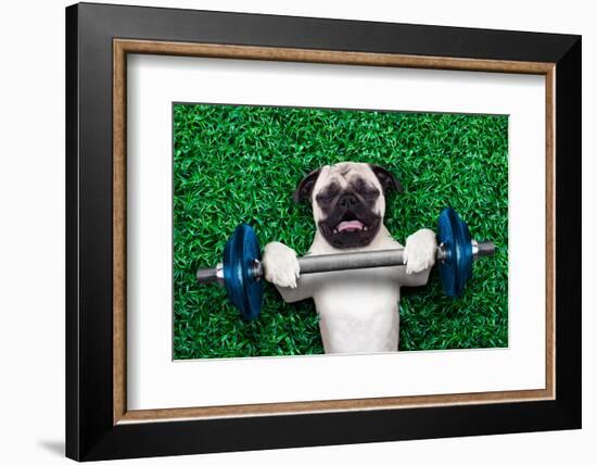 Sport Dog-Javier Brosch-Framed Photographic Print