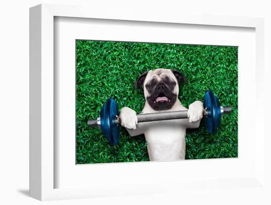 Sport Dog-Javier Brosch-Framed Photographic Print