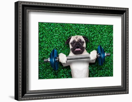 Sport Dog-Javier Brosch-Framed Photographic Print