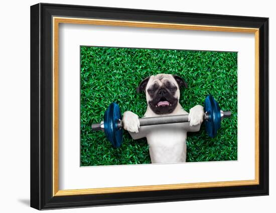 Sport Dog-Javier Brosch-Framed Photographic Print