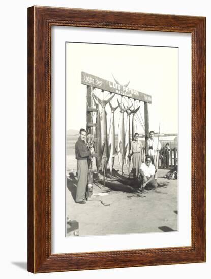 Sport Fishing in Mazatlan-null-Framed Art Print