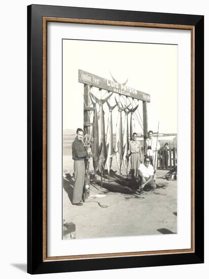 Sport Fishing in Mazatlan-null-Framed Art Print