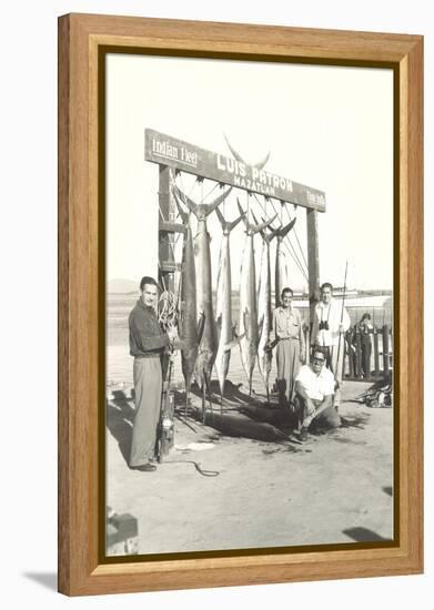 Sport Fishing in Mazatlan-null-Framed Stretched Canvas