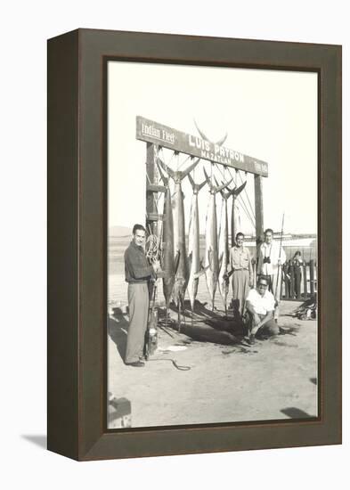 Sport Fishing in Mazatlan-null-Framed Stretched Canvas