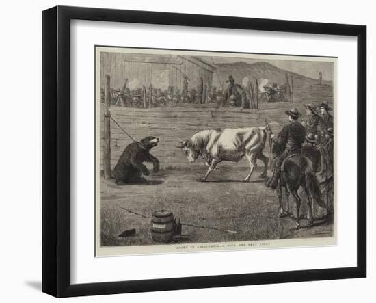 Sport in California, a Bull and Bear Fight-Samuel Edmund Waller-Framed Giclee Print