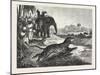 Sport in India, Hunting Antelopes with the Cheetah, 1876. Antelope, Animal, Big Cat, Wild Cat-null-Mounted Giclee Print