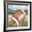 Sporting 3-Kimberly Allen-Framed Art Print