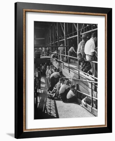 Sports Fans Attending Baseball Game at Ebbets Field-Ed Clark-Framed Photographic Print