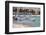 Sports Fishing Boats of Playa del Carmen Mexico-George Oze-Framed Photographic Print