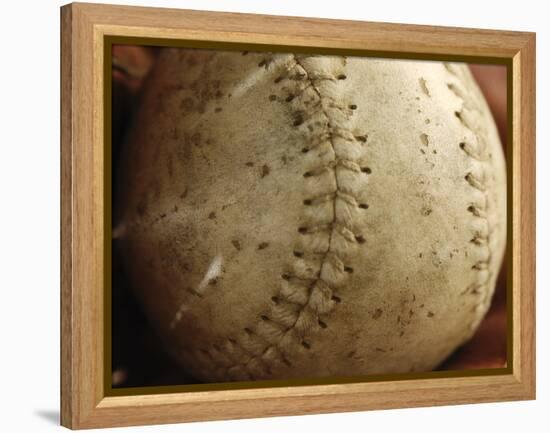 Sports-null-Framed Premier Image Canvas