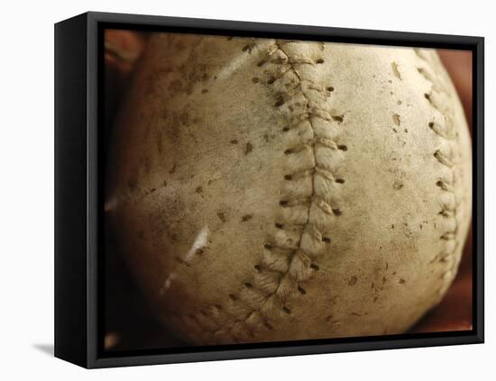 Sports-null-Framed Premier Image Canvas