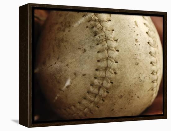 Sports-null-Framed Premier Image Canvas