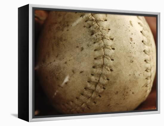 Sports-null-Framed Premier Image Canvas