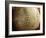 Sports-null-Framed Photographic Print