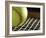 Sports-null-Framed Photographic Print