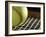 Sports-null-Framed Photographic Print