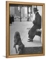 Sportscaster Bill Stern Reading Newspaper as Chesapeake Bay Retriever Sniff a Sidewalk-Nina Leen-Framed Premier Image Canvas