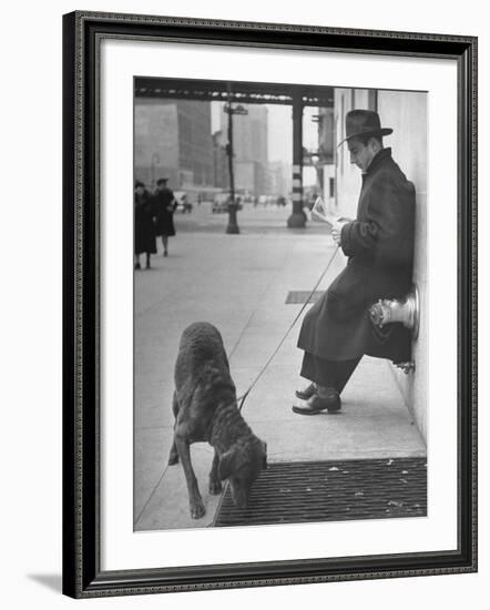 Sportscaster Bill Stern Reading Newspaper as Chesapeake Bay Retriever Sniff a Sidewalk-Nina Leen-Framed Premium Photographic Print