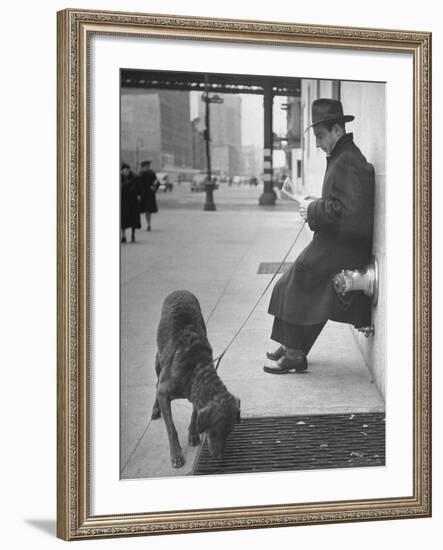 Sportscaster Bill Stern Reading Newspaper as Chesapeake Bay Retriever Sniff a Sidewalk-Nina Leen-Framed Premium Photographic Print