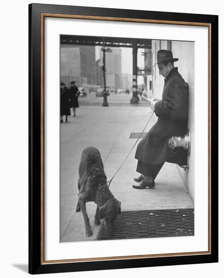 Sportscaster Bill Stern Reading Newspaper as Chesapeake Bay Retriever Sniff a Sidewalk-Nina Leen-Framed Premium Photographic Print