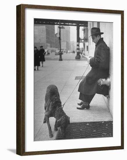 Sportscaster Bill Stern Reading Newspaper as Chesapeake Bay Retriever Sniff a Sidewalk-Nina Leen-Framed Premium Photographic Print