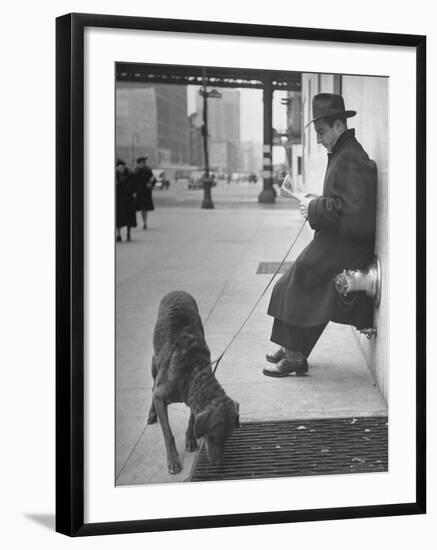 Sportscaster Bill Stern Reading Newspaper as Chesapeake Bay Retriever Sniff a Sidewalk-Nina Leen-Framed Premium Photographic Print